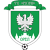 Русичи