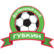 Губкин