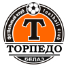 Торпедо-БелАЗ Жодино